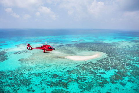 Private Helicopter Tour: Reef Island Snorkeling And Gourmet Picnic Lunch - Accommodation Yamba 5