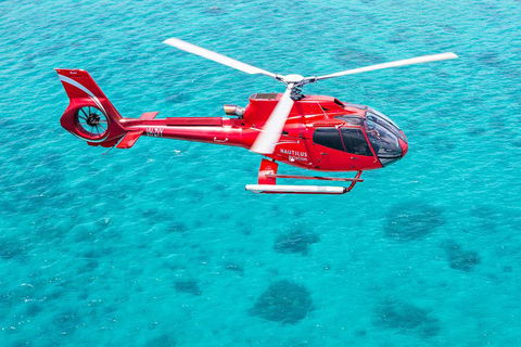 Helicopter And Cruise Packages From Port Douglas - Accommodation Yamba 5