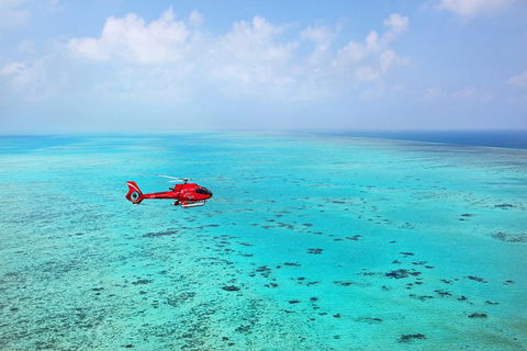 Port Douglas - Cruise And 10 Minute Scenic Flight - Accommodation Yamba 1