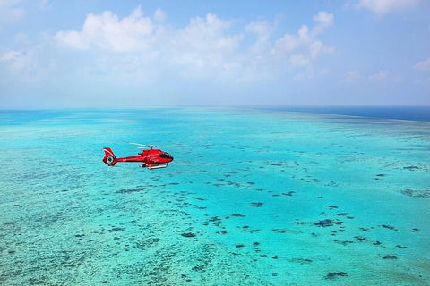 Ultimate Great Barrier Reef And Rainforest 45-minute Helicopter Tour - Accommodation Yamba 2