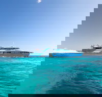 Rottnest Island Bike Snorkel  Ferry Package from Fremantle - Accommodation Yamba