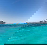 Rottnest Island Fortress Adventure Segway Package from Fremantle - Accommodation Yamba