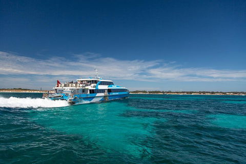 Perth To Rottnest Island Roundtrip Ferry Ticket - Accommodation Yamba 4