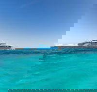 Rottnest Island Bayseeker Day Trip from Perth - Accommodation Yamba