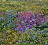 Litchfield Park  Daly River - Scenic Flight From Darwin - Accommodation Yamba