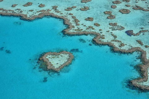 Reef And Island Scenic Flight From Airlie Beach - Accommodation Yamba 5