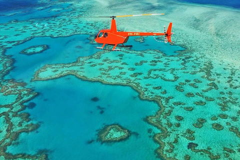 Whitehaven Heli Tour - Accommodation Yamba 3