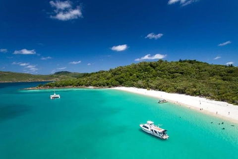 Whitehaven Beach And Hill Inlet | Awesome Beach BBQ | Family Friendly - Accommodation Yamba 3