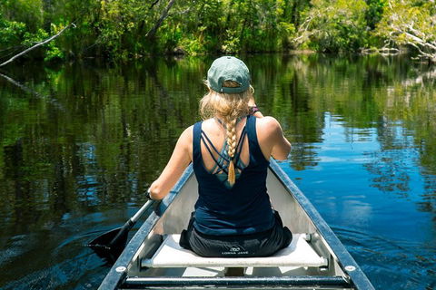 Cruise 'n' Canoe To Australia's Everglades - Accommodation Yamba 0