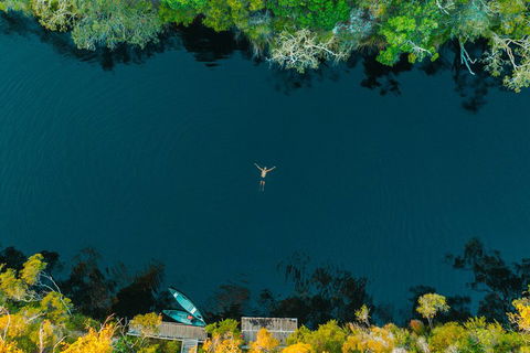 Cruise 'n' Canoe To Australia's Everglades - Accommodation Yamba 2