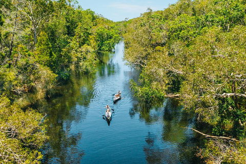 Cruise 'n' Canoe To Australia's Everglades - Accommodation Yamba 3