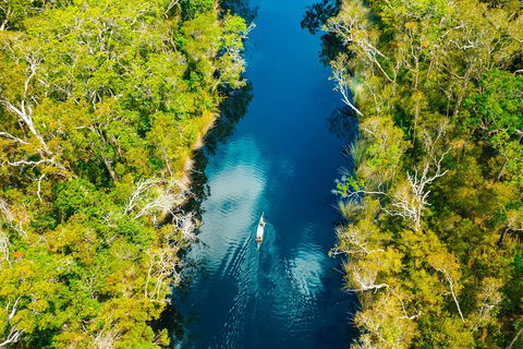Cruise 'n' Canoe To Australia's Everglades - Accommodation Yamba 4