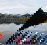 Gordon River Cruise departing from Strahan - Accommodation Yamba