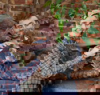 Private Tour Blue Mountains Day Trip from Sydney - Accommodation Yamba