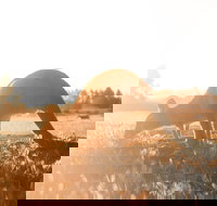 Small Group - 12 Apostles Otways  Great Ocean Road Day Tour from Melbourne - Accommodation Yamba