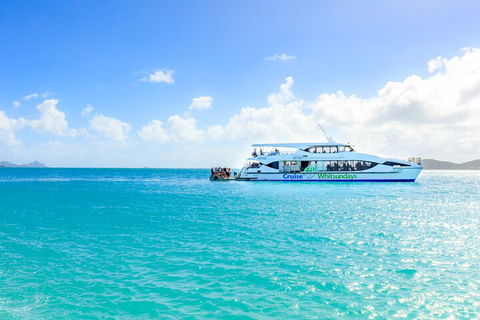 Whitehaven Beach And Daydream Island Cruise - Accommodation Yamba 2