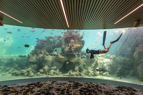 Whitehaven Beach And Daydream Island Cruise - Accommodation Yamba 4