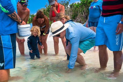 Whitehaven Beach And Hamilton Island Cruise - Accommodation Yamba 1