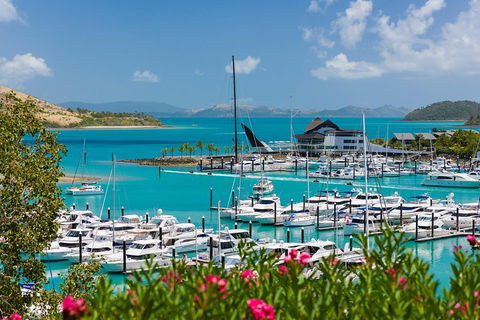 Whitehaven Beach And Hamilton Island Cruise - Accommodation Yamba 3