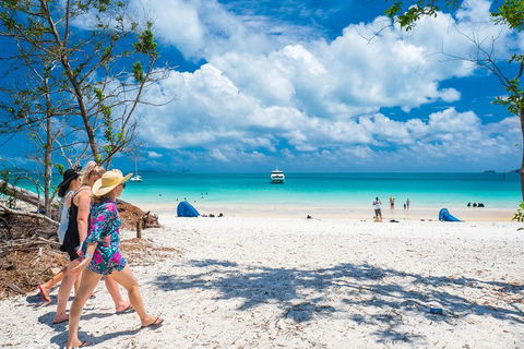 Whitehaven Beach Half-Day Cruises - Accommodation Yamba 1