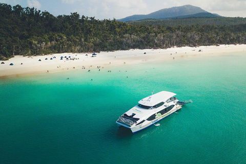 Whitehaven Beach Half-Day Cruises - Accommodation Yamba 2