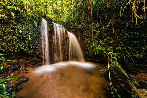 Paronella Park Admission Ticket - Accommodation Yamba 5