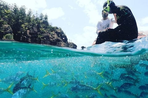 2 Night Small Group Whitsundays Sailing Adventure Aboard Mandrake - Accommodation Yamba 5