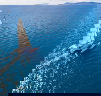 2-Night Whitsunday Islands Sailing Adventure on Trimaran Avatar - Accommodation Yamba