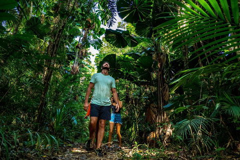 Full Day Daintree Rainforest And Mossman Gorge Tour - Accommodation Yamba 0