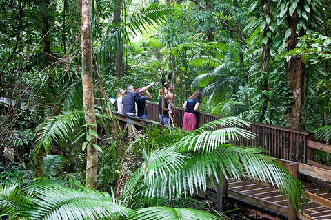 Full Day Daintree Rainforest And Mossman Gorge Tour - Accommodation Yamba 1