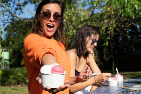 Full Day Daintree Rainforest And Mossman Gorge Tour - Accommodation Yamba 3