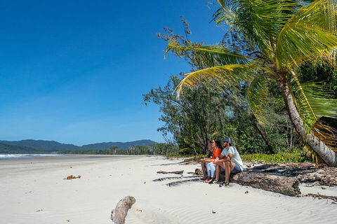 Full Day Daintree Rainforest And Mossman Gorge Tour - Accommodation Yamba 4