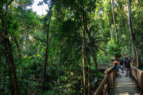 Full Day Daintree Rainforest And Mossman Gorge Tour - Accommodation Yamba 5