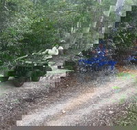 Cairns ATV Adventure Tour and Morning Train - Accommodation Yamba