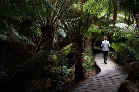 Private Tour Of Melbourne - Accommodation Yamba 2