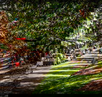 Fully Inclusive Blue Mountains Private Tour inc Scenic World  Featherdale entry - Accommodation Yamba