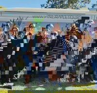 Full Day Mount Tamborine Winery Tour from Gold Coast - Accommodation Yamba