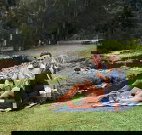 Mt Tamborine - Hinterland Wonders Self Guided - Accommodation Yamba