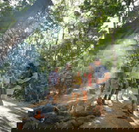 Mossman Gorge Adventure Day - Accommodation Yamba