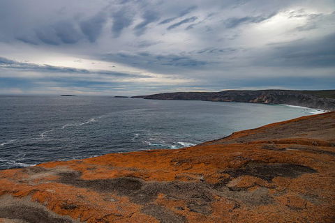Kangaroo Island Luxury Small Group 'Flinders Chase Focus' Full Day Tour - Accommodation Yamba 0
