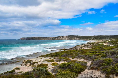 Kangaroo Island Luxury Small Group 'East End Explorer' Full Day Tour - Accommodation Yamba 0