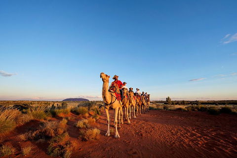 Uluru Small-Group Tour By Camel At Sunrise Or Sunset - Accommodation Yamba 3