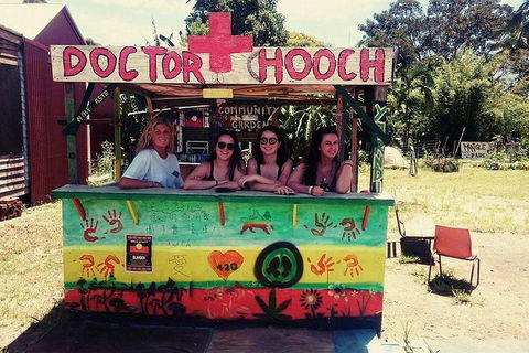 Byron Surrounds: Nimbin Waterfall Adventure - Swimming Tour - Accommodation Yamba 5
