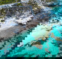 Rottnest Island Round-Trip Ferry from Perth or Fremantle - Accommodation Yamba