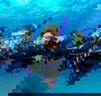 Great Barrier Reef Diving and Snorkeling Cruise from Cairns - Accommodation Yamba