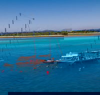 Ocean Free Green Island  Great Barrier Reef Snorkel Cruise Cairns 25 guests - Accommodation Yamba