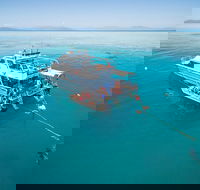 Ocean Freedom Great Barrier Reef Personal Luxury Snorkel  Dive Cruise Cairns - Accommodation Yamba