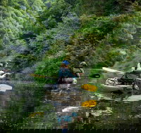 Byron Bay Rainforest Fishing - Accommodation Yamba