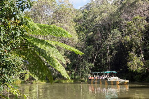 Best Of Kuranda Including Skyrail, Kuranda Scenic Railway And Rainforestation - Accommodation Yamba 5