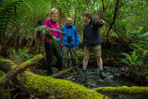 Bruny Island Traveller - Gourmet Tasting And Sightseeing Day Trip From Hobart - Accommodation Yamba 1
